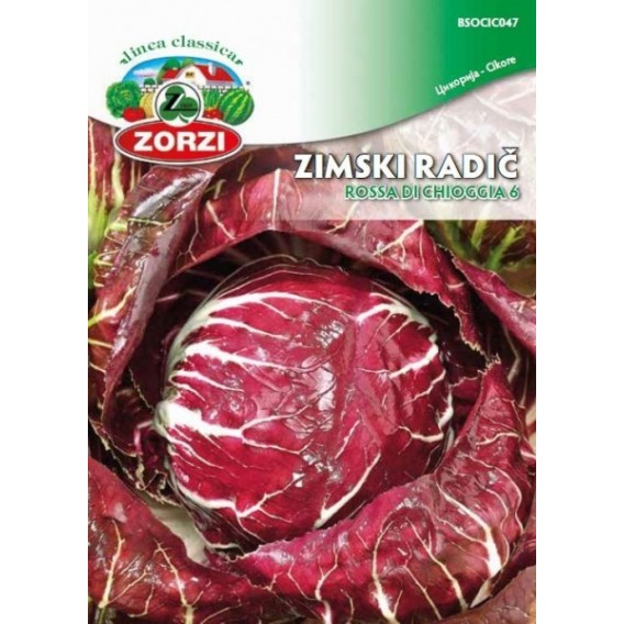 seme Radič zimski Rossa di Chioggia | Fajn tim VTC Naia